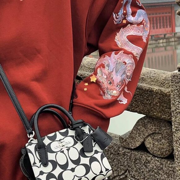 COACH Andrea Mini Carryall In Signature Canvas CO973 - Picture 10 of 11